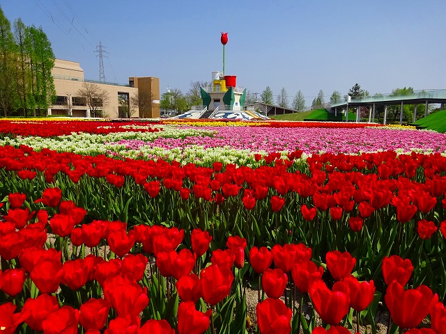 砺波チューリップ公園フォト集 となみチューリップフェア