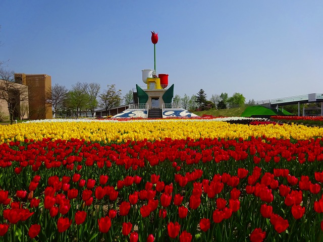 砺波チューリップ公園フォト集 となみチューリップフェア