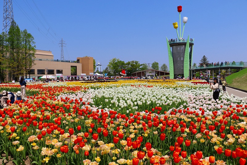 2025Tonami Tulip Fair Photo Collection has been created! | となみチューリップフェア