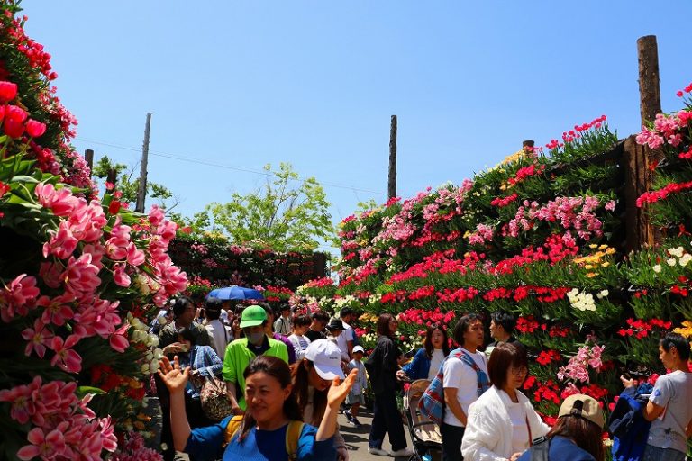 2025Tonami Tulip Fair Photo Collection has been created! | となみチューリップフェア