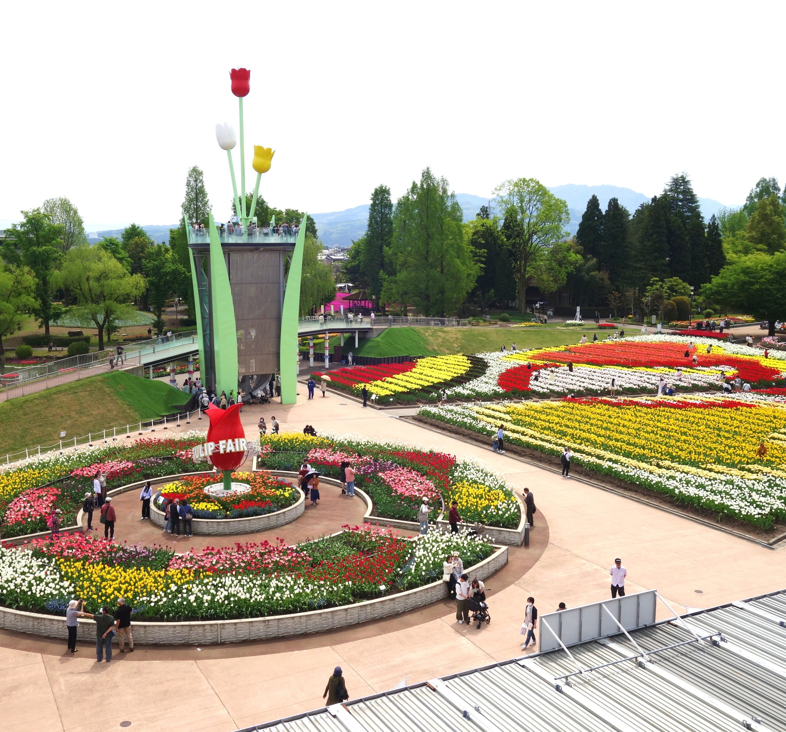 砺波 チューリップ 公園